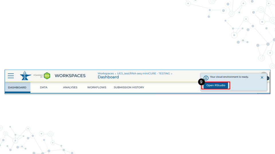 Image with a red box around the pop-up that appears when the RStudio environment is ready