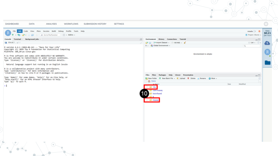 Image showing the RStudio interface open on AnVIL, with red boxes showing how to use the file explorer and navigating to C-MOOR modules