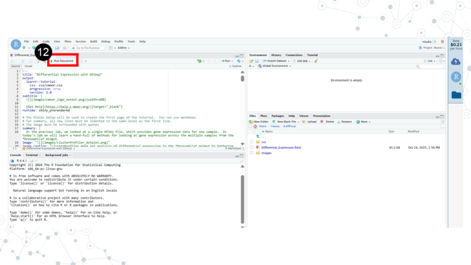 Image showing the RStudio interface and a red box around the Run Document button, distinct from the run button.
