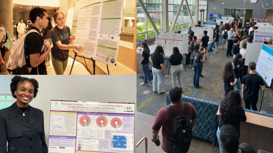 Image collage of 3 photographs showing students in front of their research posters at various symposia