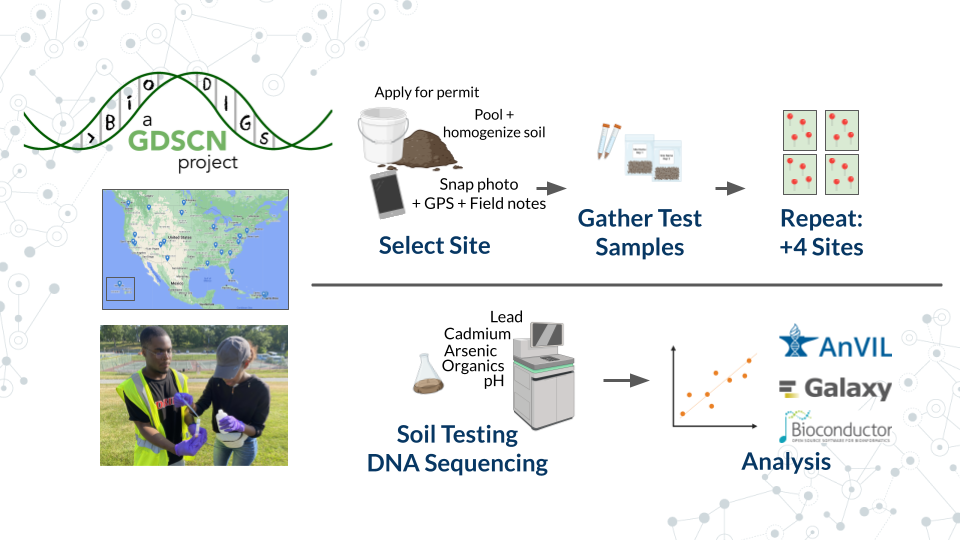 A multi panel image with photos and icons relating to BioDIGS. In the top left corner is the GDSCN BioDIGS project label, beneath which is a map of the United States with pins on each BioDIGS sampling site and a photo of two people collecting a soil sample. In the top half of the slide contains a pipeline for sampling soil, including applying for permits, pooling and homogenizing soil, taking photos, recoreding GPS and field notes, and repeating at different sites. Icons of soil, buckets, a smart phone, sample tubes, bags of dirt, and a plan for sampling replicates. On the bottom half of the image is a pathway from soil testing and DNA sequencing to computational analysis. Icons show a sample of soil being analyzed by a machine to look at levels of lead, cadmium, arsenic, organic components, and pH. On the right side are the icons for AnVIL, Galaxy, and Bioconductor next to a scatterplot.