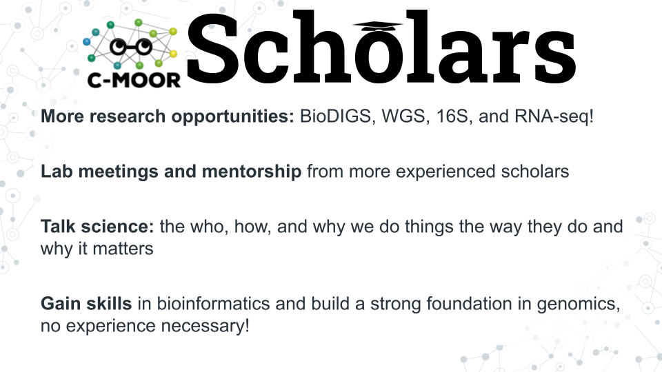 An image that shows the C-MOOR logo next to Scholars in big font. Below this there are 4 bullet points which read: 1) More research opportunities: BioDIGS, WGS, 16S, and RNA-seq! 2) Lab meetings and mentorship from more experienced scholars 3) Talk science: the who, how, and why we do things the way they do and why it matters 4) Gain skills in bioinformatics and build a strong foundation in genomics, no experience necessary!