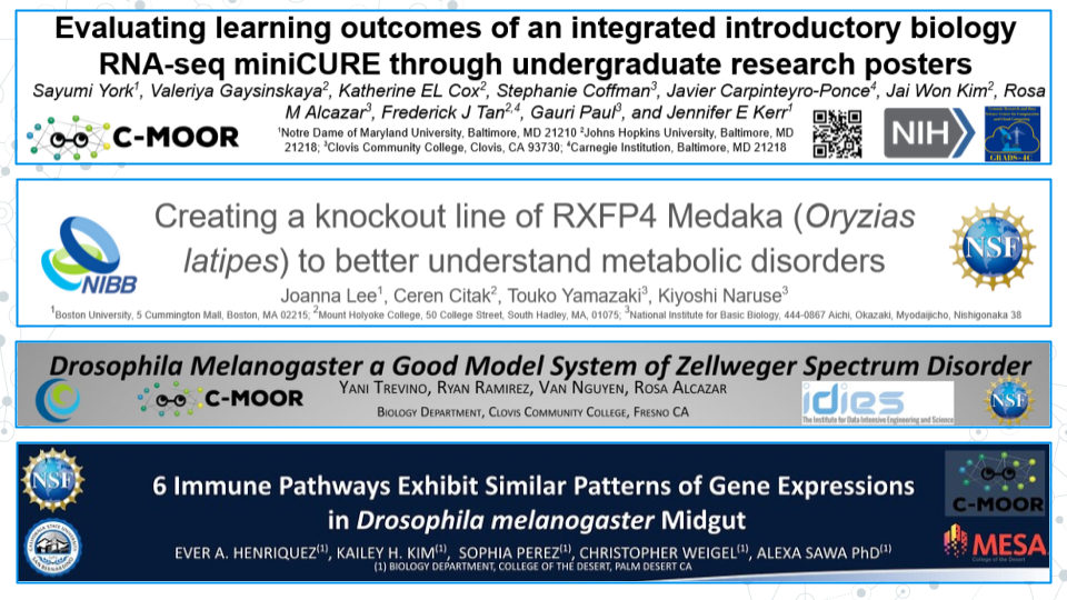 Image showing 4 examples of headers from C-MOOR associated posters. Each header has the title of the poster in the largest font, the logos of supporting organizations, and the author list. The headers differ in color and overall aesthetic style.