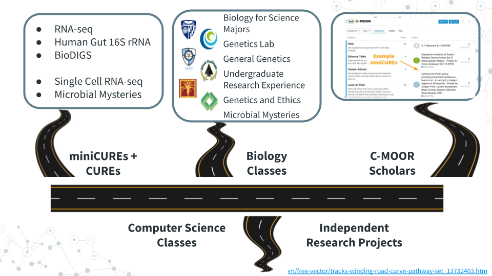 An image showing branching road ways. The branches are labeled: miniCUREs + CURES, biology classes, C-MOOR scholars, computer science classes, and independent research projects. Some roads have example text and iconography shown next to them including the list of C-MOOR curricula, lists of classes they have been offered in, and the C-MOOR website. Small text in the bottom right corner credits the source for the road art.