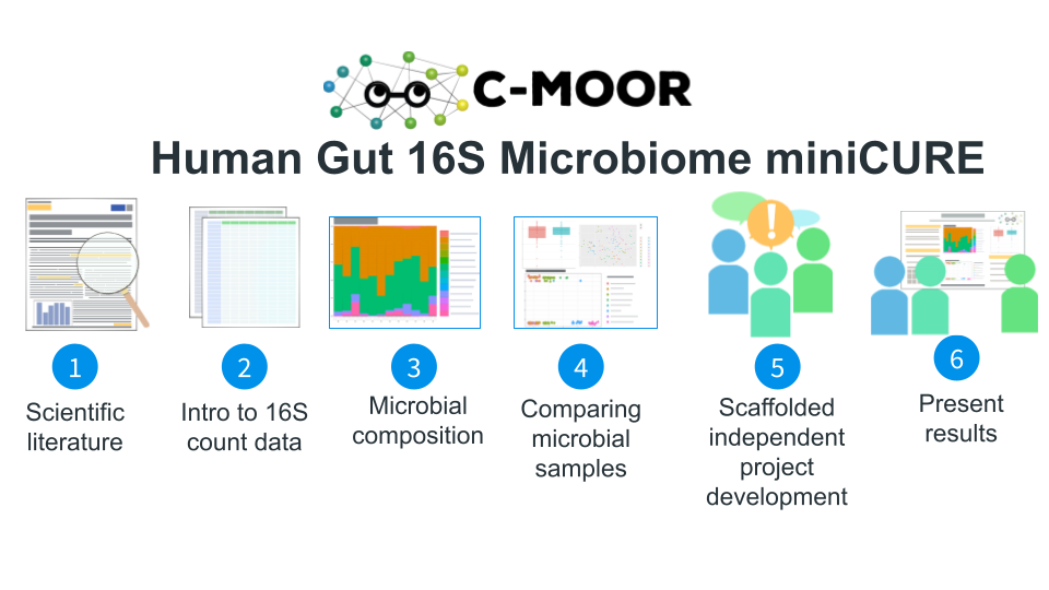 A graphic showing the 6 modules included in the 16S miniCURE.