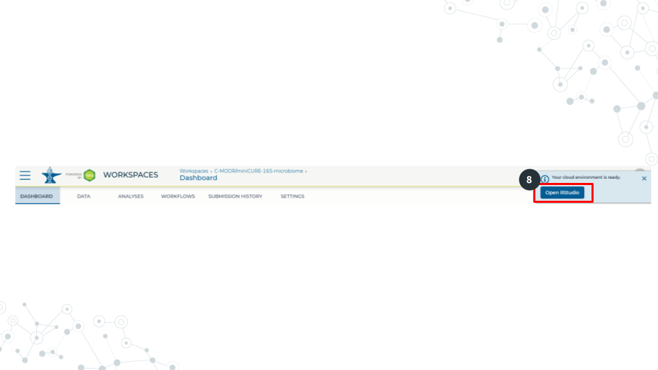 Image with a red box around the pop-up that appears when the RStudio environment is ready