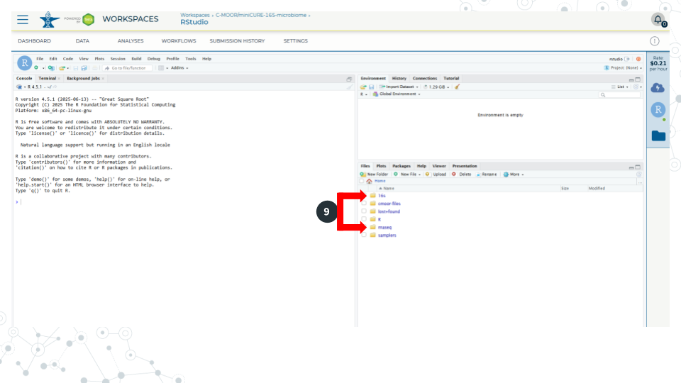Image showing the RStudio interface open on AnVIL, with red boxes showing how to use the file explorer and navigating to C-MOOR modules