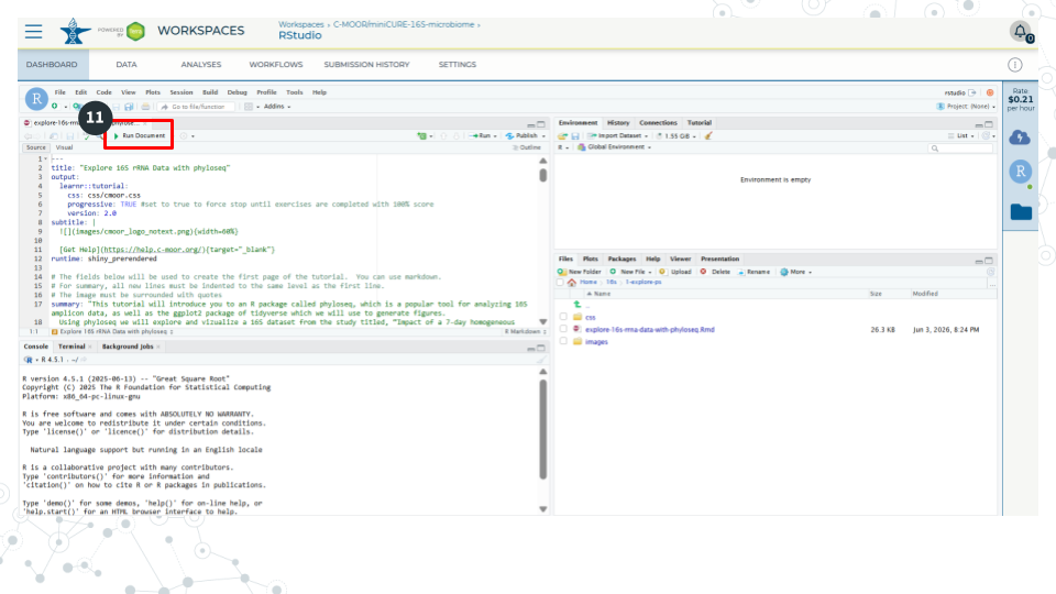 Image showing the RStudio interface and a red box around the Run Document button, distinct from the run button.