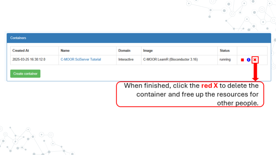 Deleting a SciServer container.