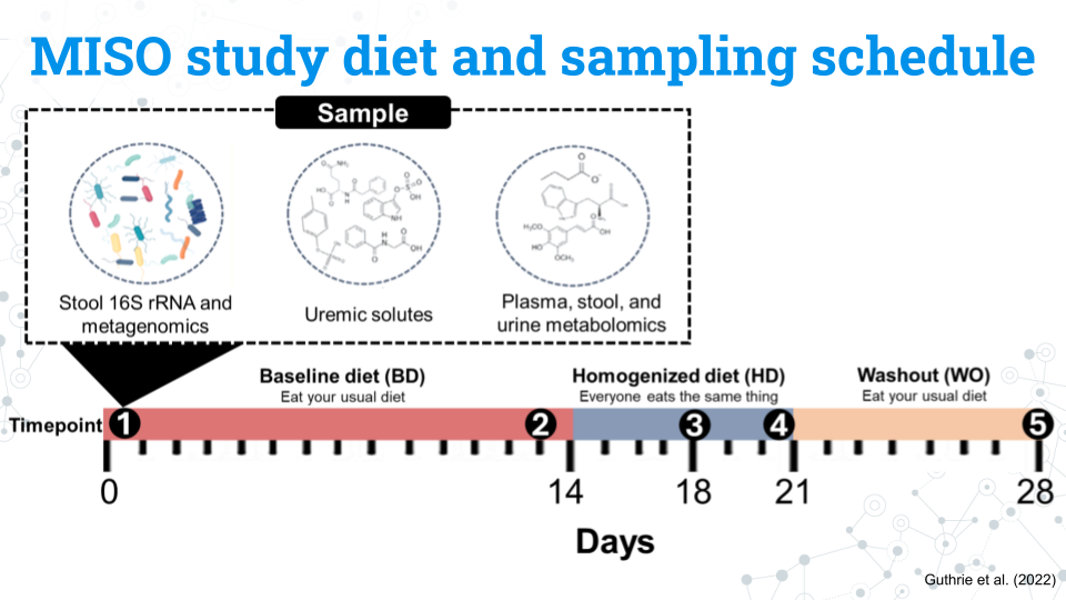 An image showing the sampling scheme of the MISO study. Samples are taken at 5 time points, 2 during the baseline diet phase, 2 during the homogenized diet phase, and one during the washout diet phase. The experiment lasts 28 days total. Some samplings are closer to each other than others temporally.
