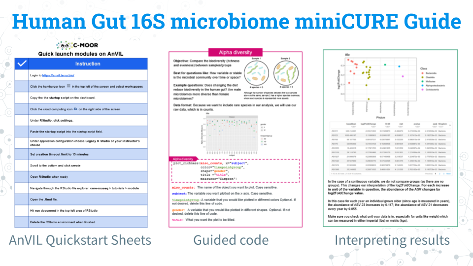 An image of a slide titled: Human Gut 16S microbiome miniCURE Guide. Three pages from the guide are shown left to right with a description underneath each: 1) AnVIL Quickstart Sheets, 2) Guided code, 3) Interpreting results.