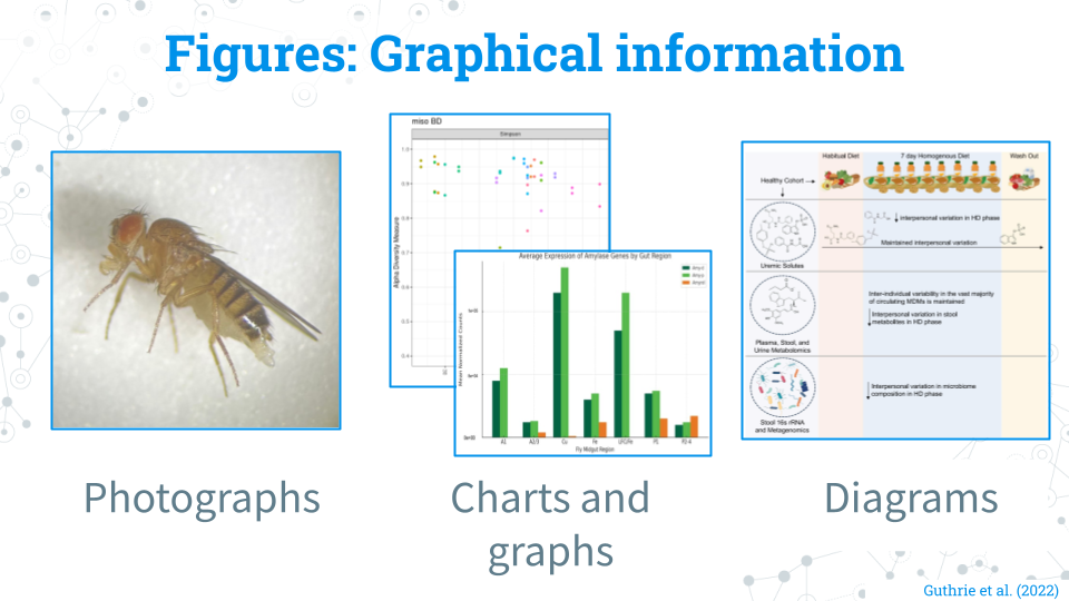 An image containing examples of figures: photographs, charts and graphs, and diagrams from previous C-MOOR students and related media. On the left, a photograph of Drosophila, in the middle a barchart and alpha diversity graph, and on the right a diagram showing the MISO study sampling scheme from the 16S miniCURE.