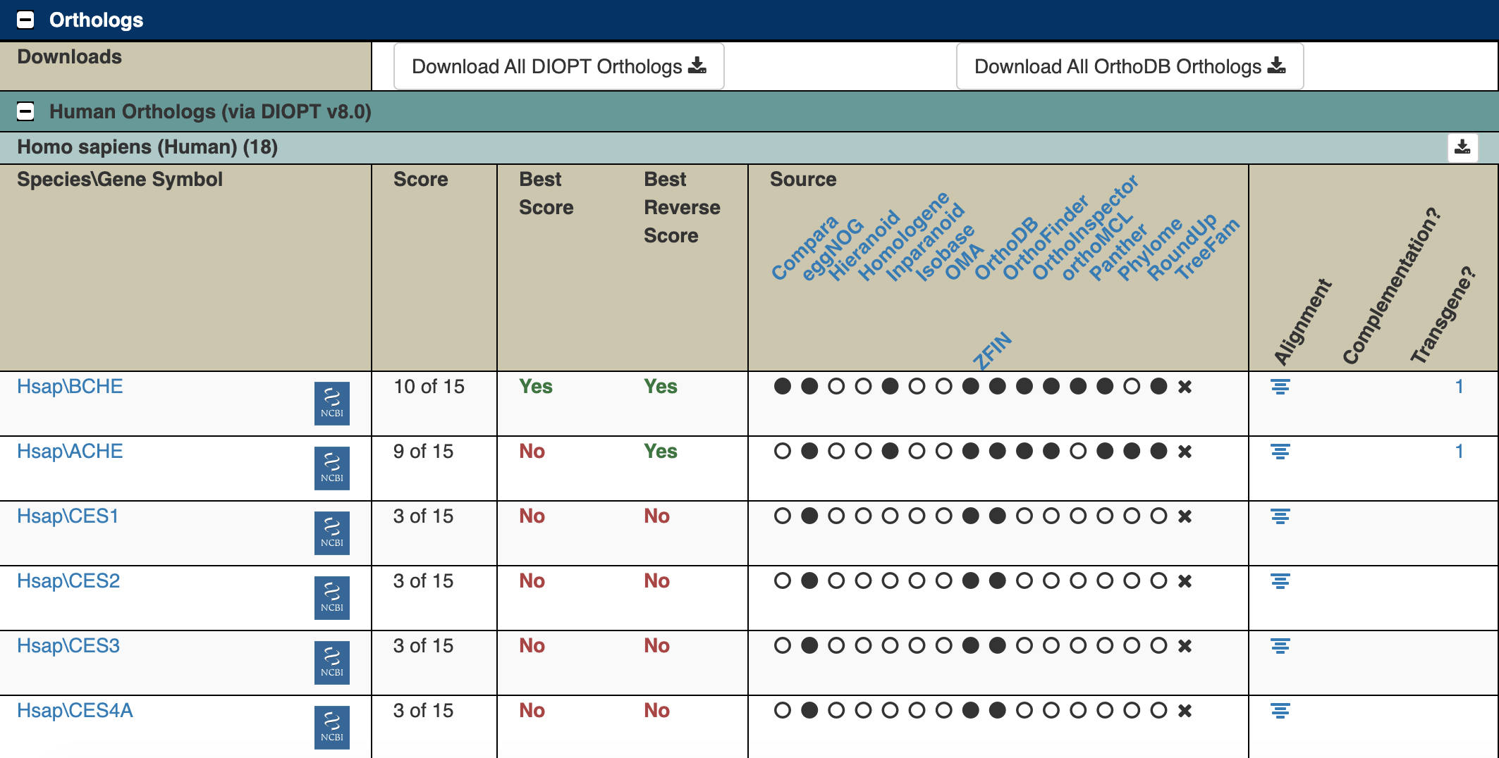 Screenshot of the Orthologs section of the Flybase gene page for Ace. The Orthologs table has several columns. The first column lists the species and gene name of the potential ortholog. The second column has the DIOPT score (e.g. 10 of 15). The fourth column lists out which programs indicated that the gene was an ortholog.