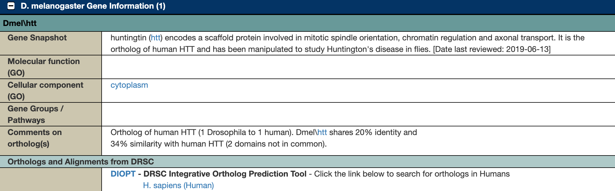 Screenshot of the Drosophila Gene Information section of the FlyBase page for the Huntington's disease Human Disease Model. There is a table of information about the Drosophila gene, including a Gene Snapshot which says 'huntingtin (htt) encodes a scaffold protein involved in mitotic spindle orientation, chromatin regulation, and axonal transport. It is the ortholog of human HTT and has been manipulated to study Huntington's disease in flies.'.