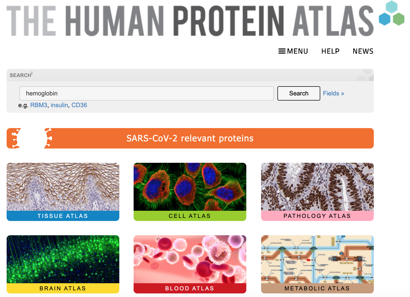 Screenshot of the Human Protein Atlas homepage, showing a search box as well as buttons linking out to various tools.
