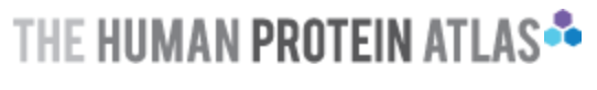 Human Protein Atlas logo