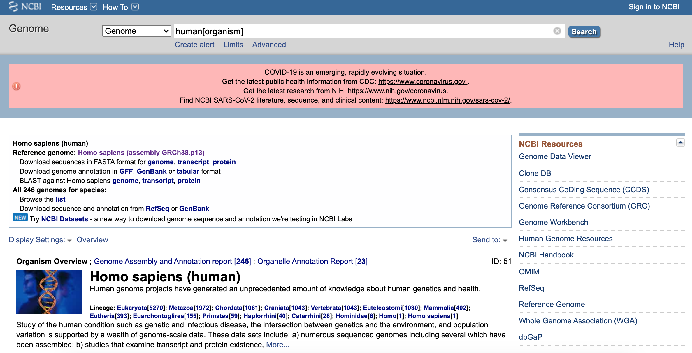 Screenshot of Human Genome page from GenBank. The page contains an organism overview for Homo sapiens (human) and links to download genome sequences and annotations. The top of the page has a banner with links to resources on the SARS-CoV-2 virus.
